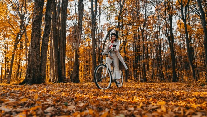 Lovely Autumn package